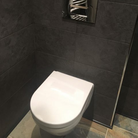 bathroom tiles toilet