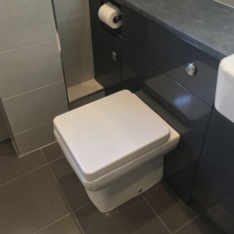 bathroom tiles toilet